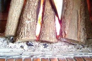 Is the ash in your firebox starting to pile up? Perhaps it's time to remove it.