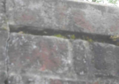 Before - Vegetation Growing in Eroded Mortar Joints